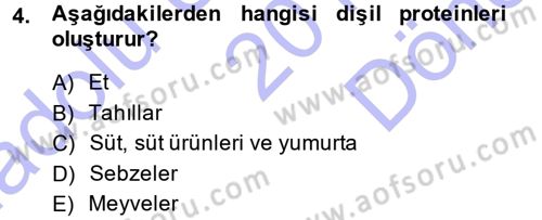 Aile Sosyolojisi Dersi 2013 - 2014 Yılı (Final) Dönem Sonu Sınav Soruları 4. Soru