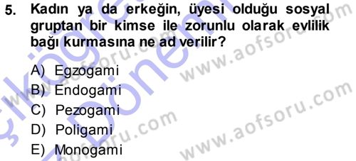 Aile Sosyolojisi Dersi Ara Sınavı Deneme Sınav Soruları 5. Soru