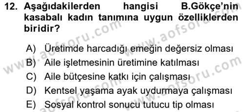 Aile Sosyolojisi Dersi 2015 - 2016 Yılı (Vize) Ara Sınav Soruları 12. Soru