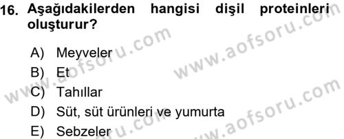 Aile Sosyolojisi Dersi 2015 - 2016 Yılı (Vize) Ara Sınav Soruları 16. Soru