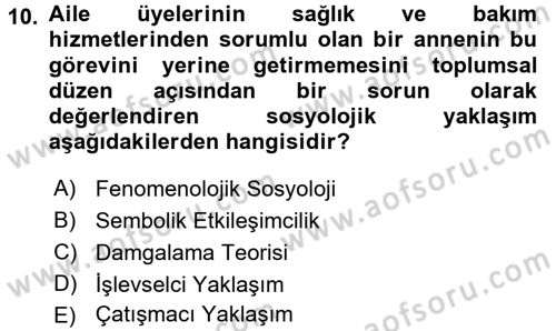 Aile Sosyolojisi Dersi 2016 - 2017 Yılı 3 Ders Sınav Soruları 10. Soru