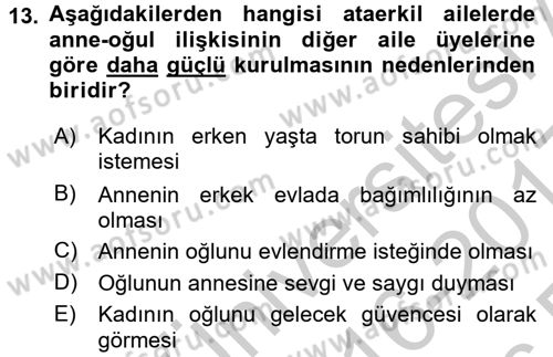 Aile Sosyolojisi Dersi 2016 - 2017 Yılı 3 Ders Sınav Soruları 13. Soru