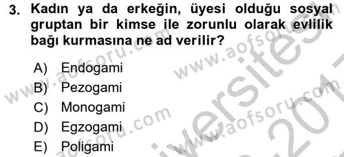 Aile Sosyolojisi Dersi 2016 - 2017 Yılı 3 Ders Sınav Soruları 3. Soru