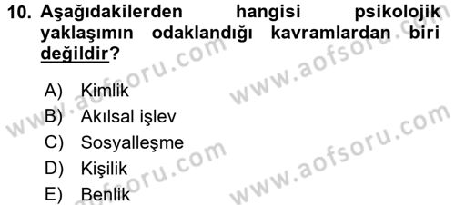Aile Sosyolojisi Dersi 2017 - 2018 Yılı 3 Ders Sınav Soruları 10. Soru