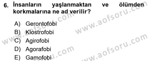 Aile Sosyolojisi Dersi 2017 - 2018 Yılı 3 Ders Sınav Soruları 6. Soru