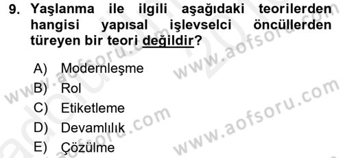 Aile Sosyolojisi Dersi 2017 - 2018 Yılı 3 Ders Sınav Soruları 9. Soru
