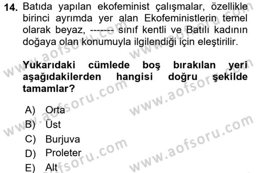 Aile Sosyolojisi Dersi 2017 - 2018 Yılı (Vize) Ara Sınav Soruları 14. Soru