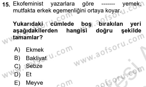 Aile Sosyolojisi Dersi Ara Sınavı Deneme Sınav Soruları 15. Soru
