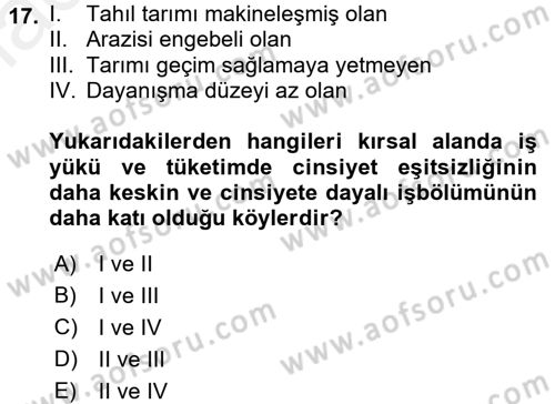 Aile Sosyolojisi Dersi 2017 - 2018 Yılı (Final) Dönem Sonu Sınav Soruları 17. Soru