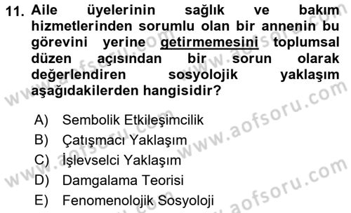 Aile Sosyolojisi Dersi 2018 - 2019 Yılı 3 Ders Sınav Soruları 11. Soru