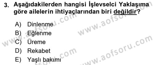 Aile Sosyolojisi Dersi 2018 - 2019 Yılı 3 Ders Sınav Soruları 3. Soru