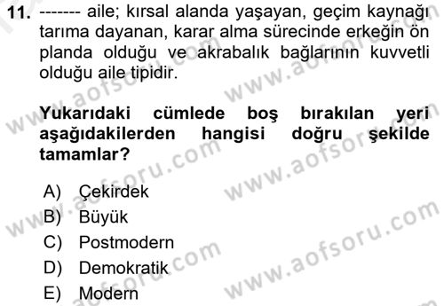 Aile Sosyolojisi Dersi 2018 - 2019 Yılı (Vize) Ara Sınavı 11. Soru