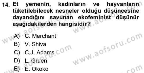 Aile Sosyolojisi Dersi 2018 - 2019 Yılı (Vize) Ara Sınavı 14. Soru