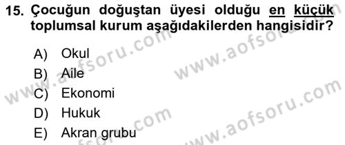 Aile Sosyolojisi Dersi 2018 - 2019 Yılı (Vize) Ara Sınavı 15. Soru