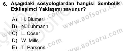 Aile Sosyolojisi Dersi 2018 - 2019 Yılı (Vize) Ara Sınavı 6. Soru