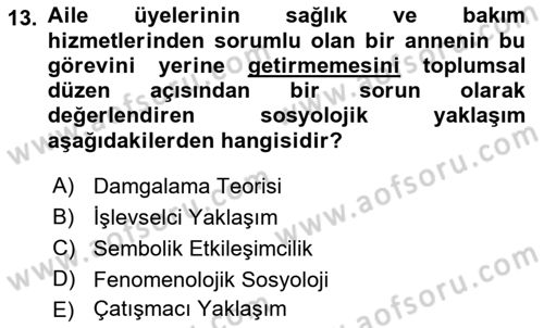 Aile Sosyolojisi Dersi 2018 - 2019 Yılı (Final) Dönem Sonu Sınav Soruları 13. Soru