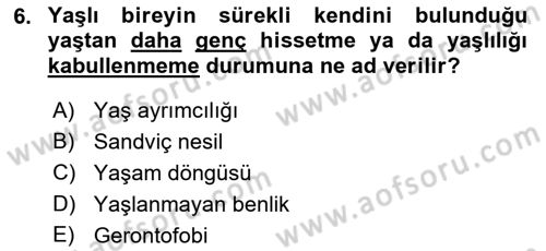 Aile Sosyolojisi Dersi 2018 - 2019 Yılı (Final) Dönem Sonu Sınav Soruları 6. Soru