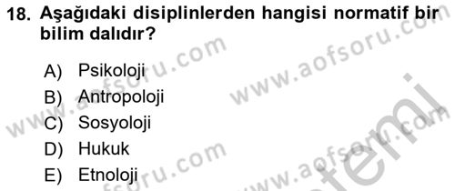 Aile Sosyolojisi Dersi 2018 - 2019 Yılı Yaz Okulu Sınav Soruları 18. Soru