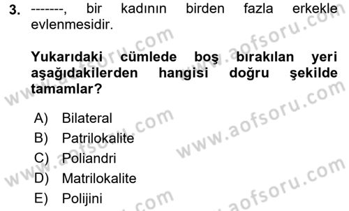 Aile Sosyolojisi Dersi 2018 - 2019 Yılı Yaz Okulu Sınav Soruları 3. Soru