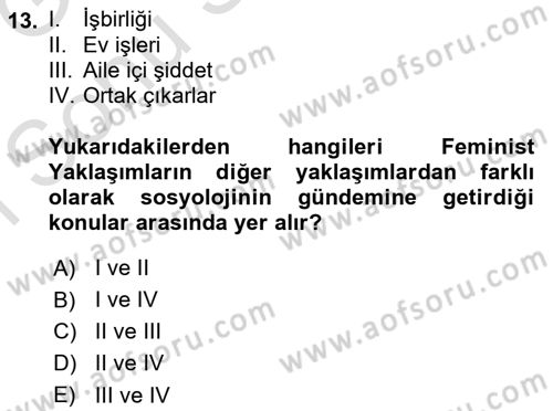 Aile Sosyolojisi Dersi 2019 - 2020 Yılı (Final) Dönem Sonu Sınav Soruları 13. Soru