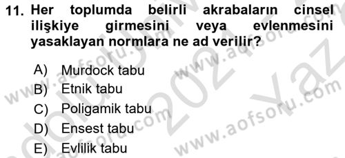 Aile Sosyolojisi Dersi 2021 - 2022 Yılı Yaz Okulu Sınav Soruları 11. Soru