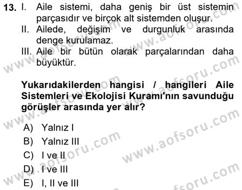 Aile Sosyolojisi Dersi 2022 - 2023 Yılı (Vize) Ara Sınav Soruları 13. Soru