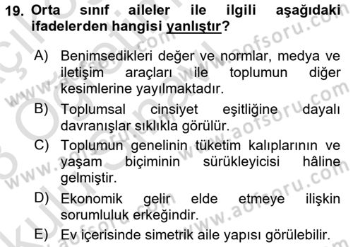 Aile Sosyolojisi Dersi 2022 - 2023 Yılı Yaz Okulu Sınav Soruları 19. Soru