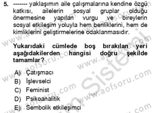 Aile Sosyolojisi Dersi 2023 - 2024 Yılı Yaz Okulu Sınav Soruları 5. Soru