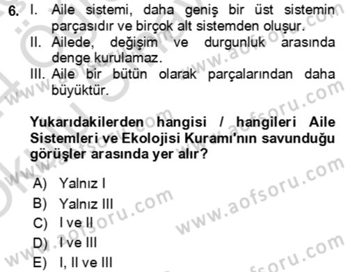 Aile Sosyolojisi Dersi 2023 - 2024 Yılı Yaz Okulu Sınav Soruları 6. Soru