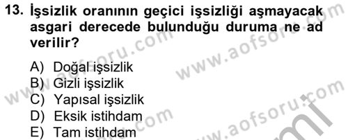 Endüstri Sosyolojisi Dersi 2012 - 2013 Yılı (Vize) Ara Sınav Soruları 13. Soru