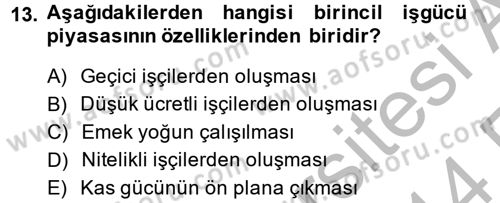 Endüstri Sosyolojisi Dersi 2013 - 2014 Yılı (Vize) Ara Sınav Soruları 13. Soru