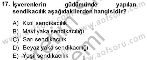 Endüstri Sosyolojisi Dersi 2013 - 2014 Yılı (Vize) Ara Sınav Soruları 17. Soru