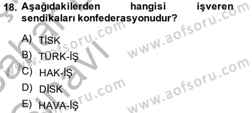 Endüstri Sosyolojisi Dersi 2013 - 2014 Yılı (Vize) Ara Sınav Soruları 18. Soru