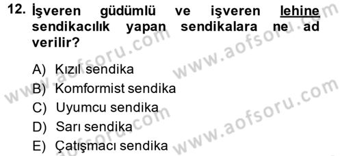 Endüstri Sosyolojisi Dersi 2014 - 2015 Yılı (Vize) Ara Sınav Soruları 12. Soru