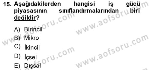 Endüstri Sosyolojisi Dersi 2014 - 2015 Yılı (Vize) Ara Sınav Soruları 15. Soru