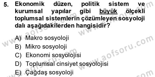 Endüstri Sosyolojisi Dersi 2014 - 2015 Yılı (Vize) Ara Sınav Soruları 5. Soru