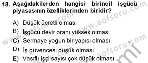 Endüstri Sosyolojisi Dersi 2014 - 2015 Yılı (Final) Dönem Sonu Sınav Soruları 18. Soru