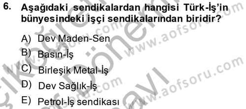 Endüstri Sosyolojisi Dersi 2014 - 2015 Yılı (Final) Dönem Sonu Sınav Soruları 6. Soru
