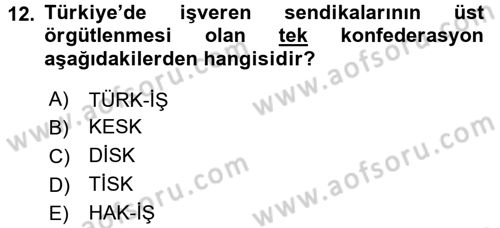 Endüstri Sosyolojisi Dersi 2015 - 2016 Yılı (Vize) Ara Sınav Soruları 12. Soru