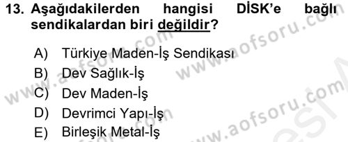 Endüstri Sosyolojisi Dersi 2015 - 2016 Yılı (Vize) Ara Sınav Soruları 13. Soru