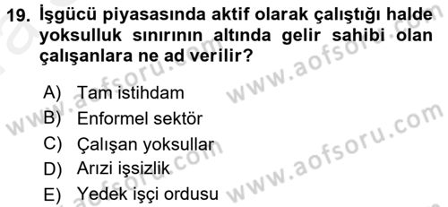 Endüstri Sosyolojisi Dersi 2015 - 2016 Yılı (Vize) Ara Sınav Soruları 19. Soru