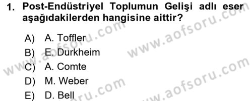 Endüstri Sosyolojisi Dersi 2015 - 2016 Yılı (Final) Dönem Sonu Sınav Soruları 1. Soru