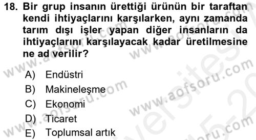 Endüstri Sosyolojisi Dersi 2015 - 2016 Yılı Tek Ders Sınav Soruları 18. Soru