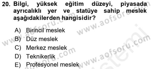 Endüstri Sosyolojisi Dersi 2015 - 2016 Yılı Tek Ders Sınav Soruları 20. Soru