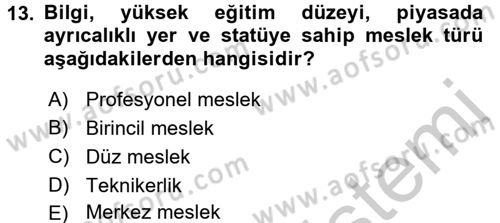 Endüstri Sosyolojisi Dersi 2016 - 2017 Yılı 3 Ders Sınavı 13. Soru