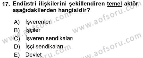 Endüstri Sosyolojisi Dersi 2016 - 2017 Yılı 3 Ders Sınav Soruları 17. Soru