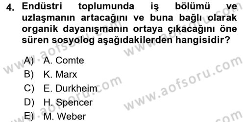 Endüstri Sosyolojisi Dersi 2016 - 2017 Yılı 3 Ders Sınav Soruları 4. Soru