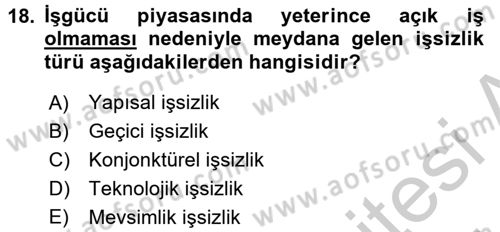 Endüstri Sosyolojisi Dersi 2016 - 2017 Yılı (Vize) Ara Sınav Soruları 18. Soru