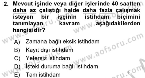 Endüstri Sosyolojisi Dersi 2016 - 2017 Yılı (Vize) Ara Sınav Soruları 2. Soru