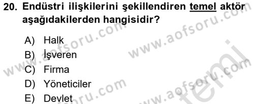 Endüstri Sosyolojisi Dersi 2016 - 2017 Yılı (Final) Dönem Sonu Sınav Soruları 20. Soru